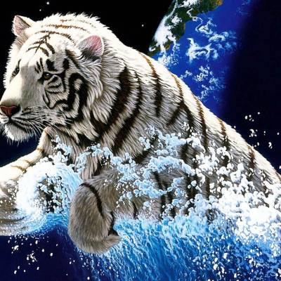 Алексей Музыченко