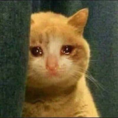 Sadd ddam
