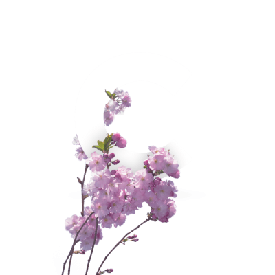 Test00000000 test00000000