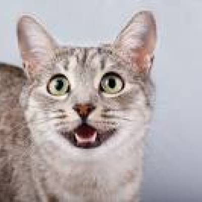 Testuserx12 testuserx12