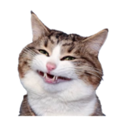 123123 123123