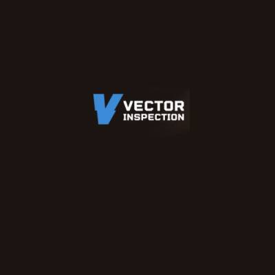 Vector Inspection