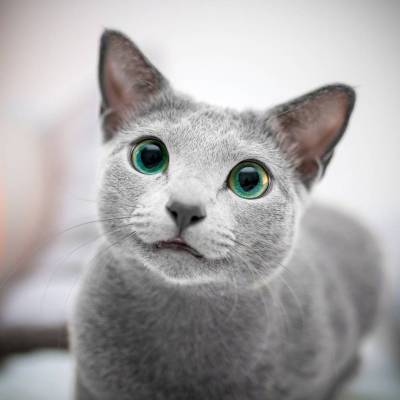 Gazjdmxt gazjdmxt