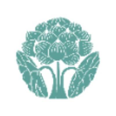 The Center for Homeopathy